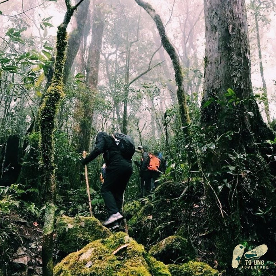mặc đồ gì đi trekking để bảo vệ đôi chân - giày trekking chuyên dụng