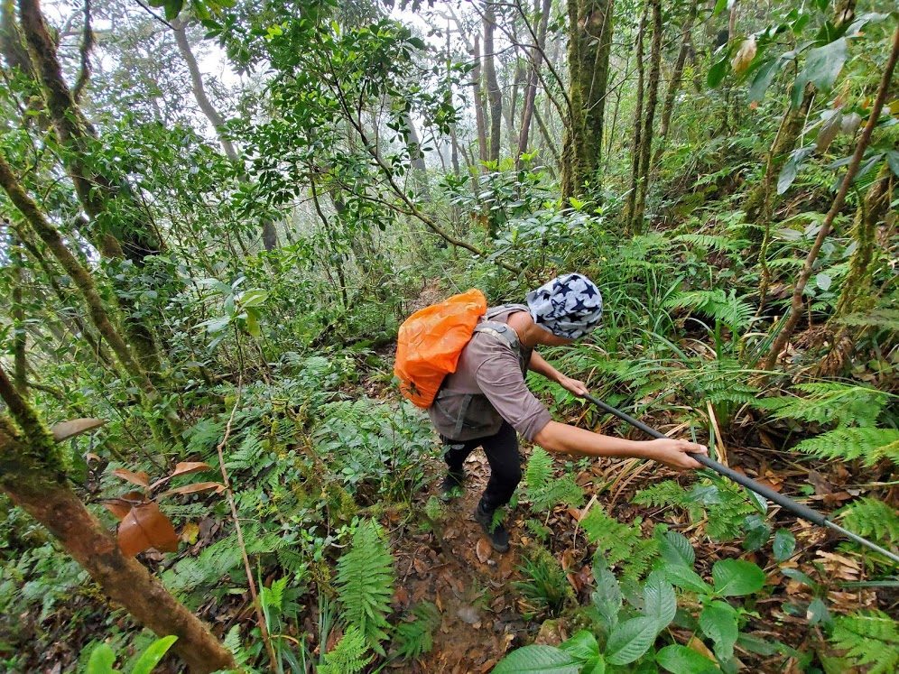 trekker leo lên những con dốc dựng đứng bằng dây