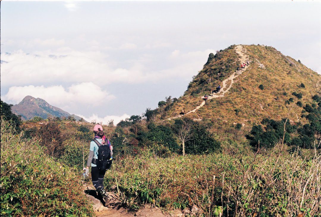 một bạn nữ đang thực hiện hành trình trekking lên đỉnh núi