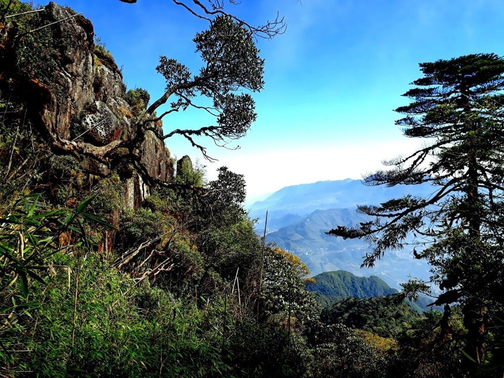 khung cảnh trên đỉnh Fansipan - một trong những cung trekking đẹp nhất Việt Nam