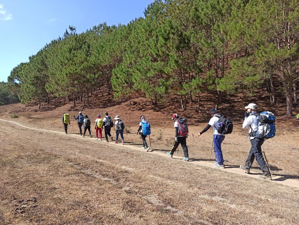 đoàn trekking qua cánh đồng cỏ cháy