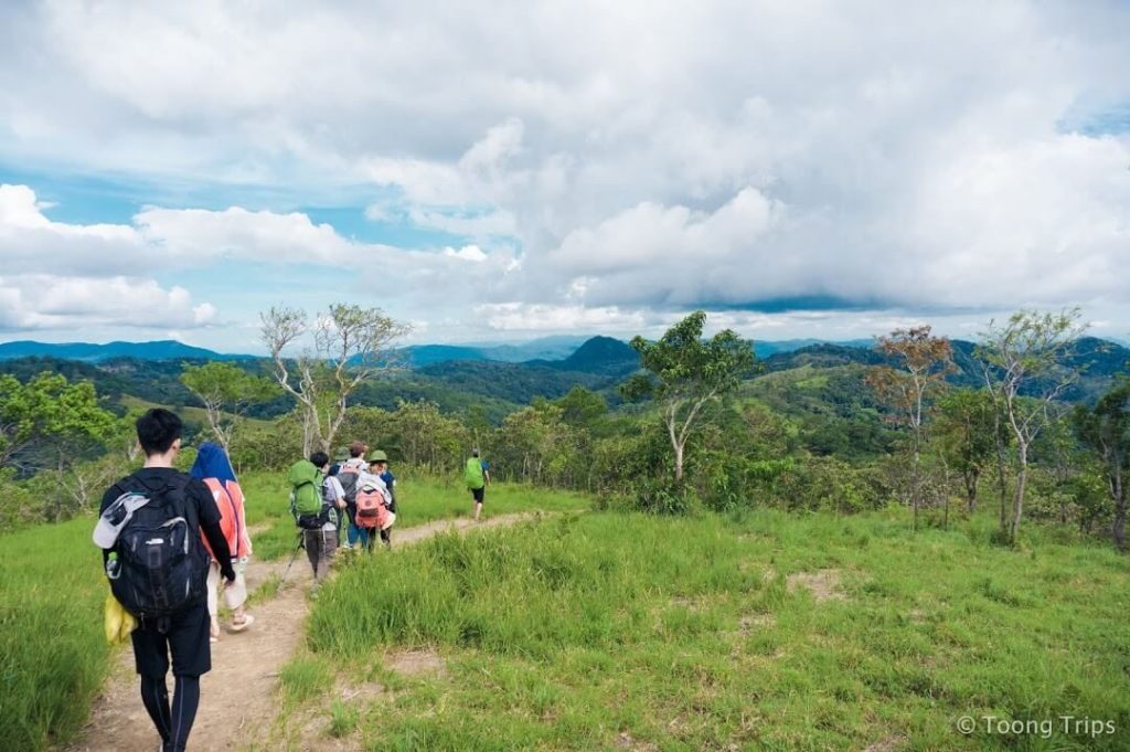 đoàn trekking băng qua những đồng cỏ xanh mướt