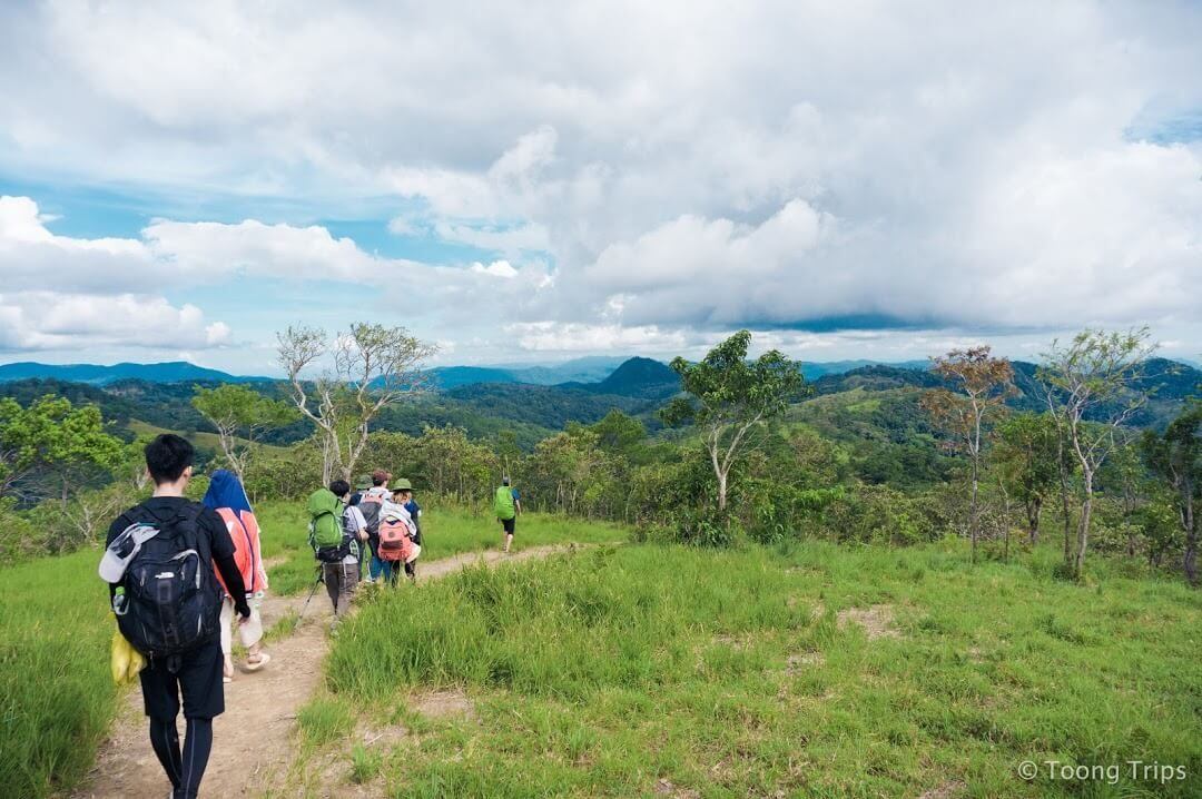 đoàn trekking băng qua những đồng cỏ xanh mướt