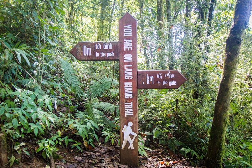 bảng chỉ dẫn để tránh lạc đường trong tour trekking ở Đà Lạt