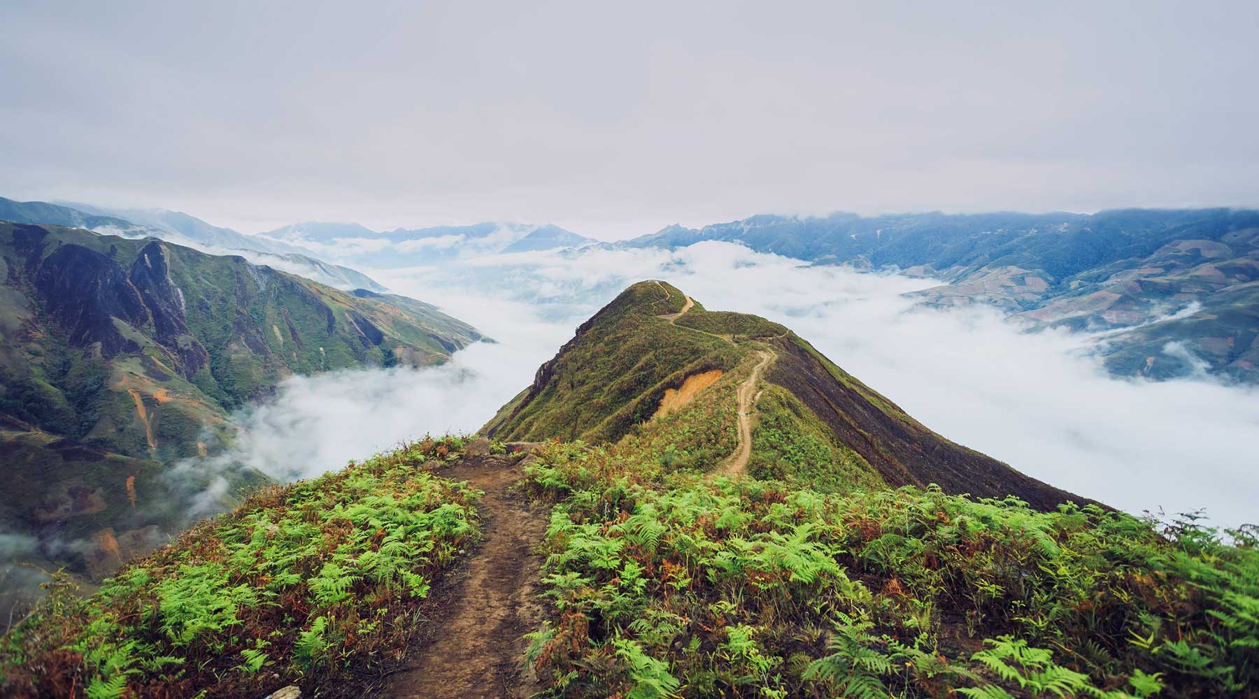 cung trekking miền Bắc - Tà Xùa