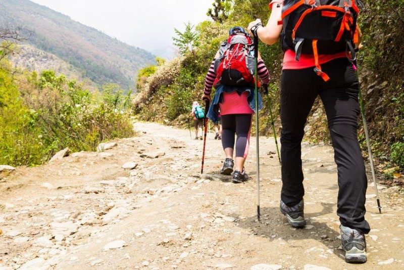 đoàn leo núi dùng gậy để hỗ trợ quá trình di chuyển