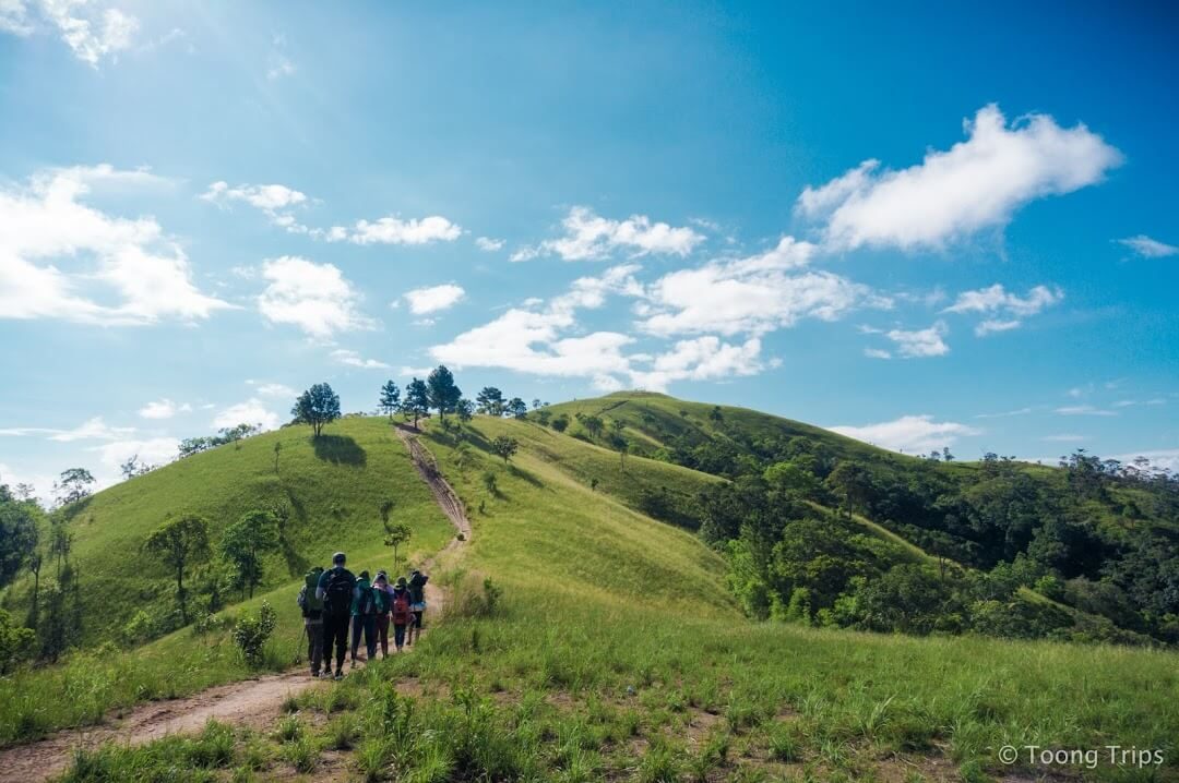 đoàn trekking băng qua những ngọn đồi, mùa mưa nơi đây có rất nhiều loài côn trùng nguy hiểm