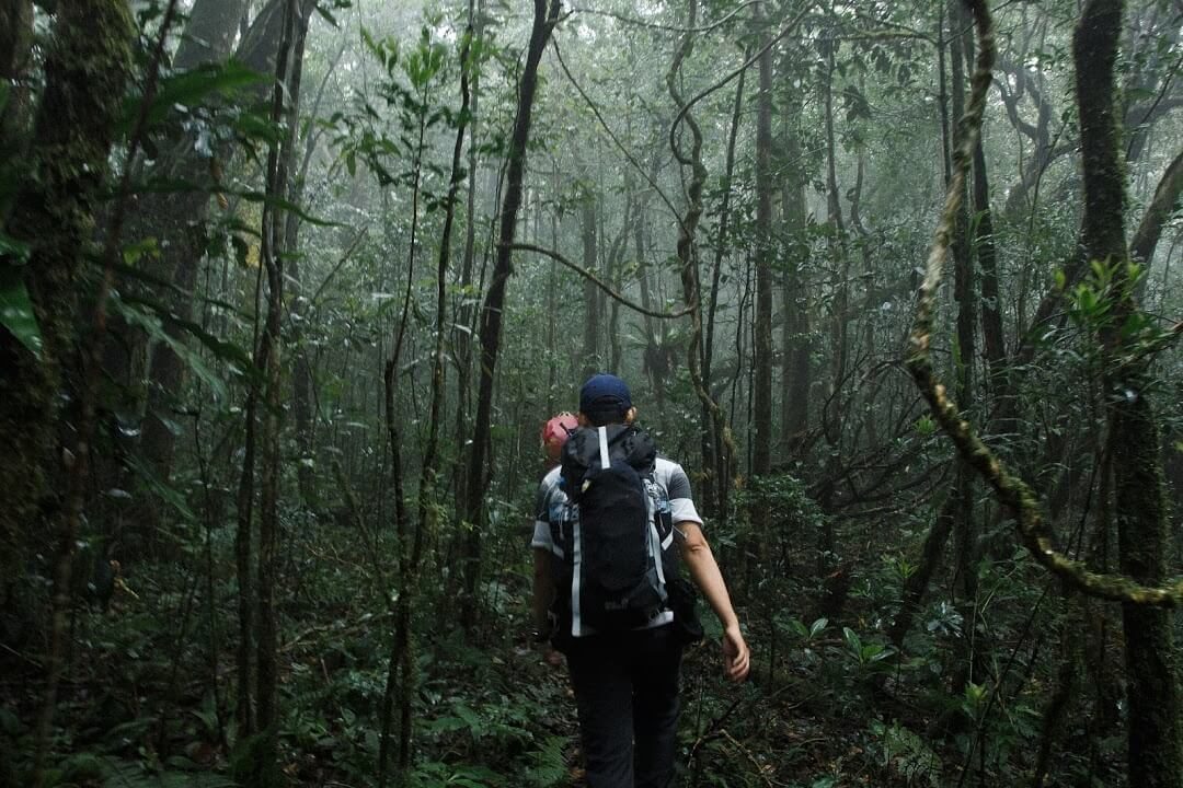 đoàn trekking thám hiểm khu rừng ma mị trong tour Bidoup