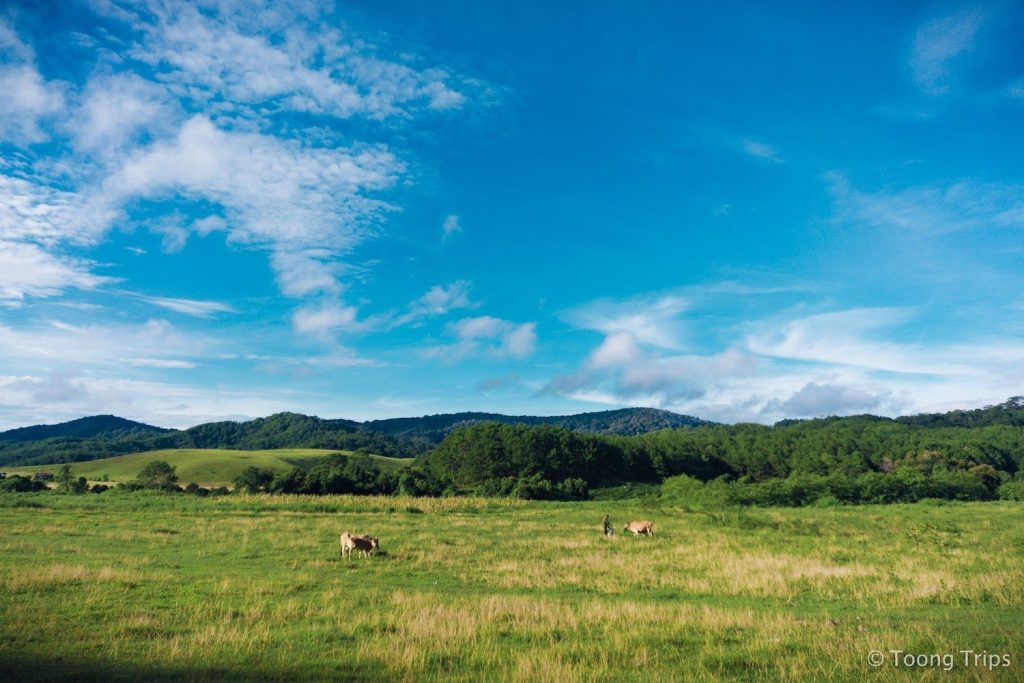 Thiên nhiên, khí hậu đều hoàn hảo cho chuyến trekking