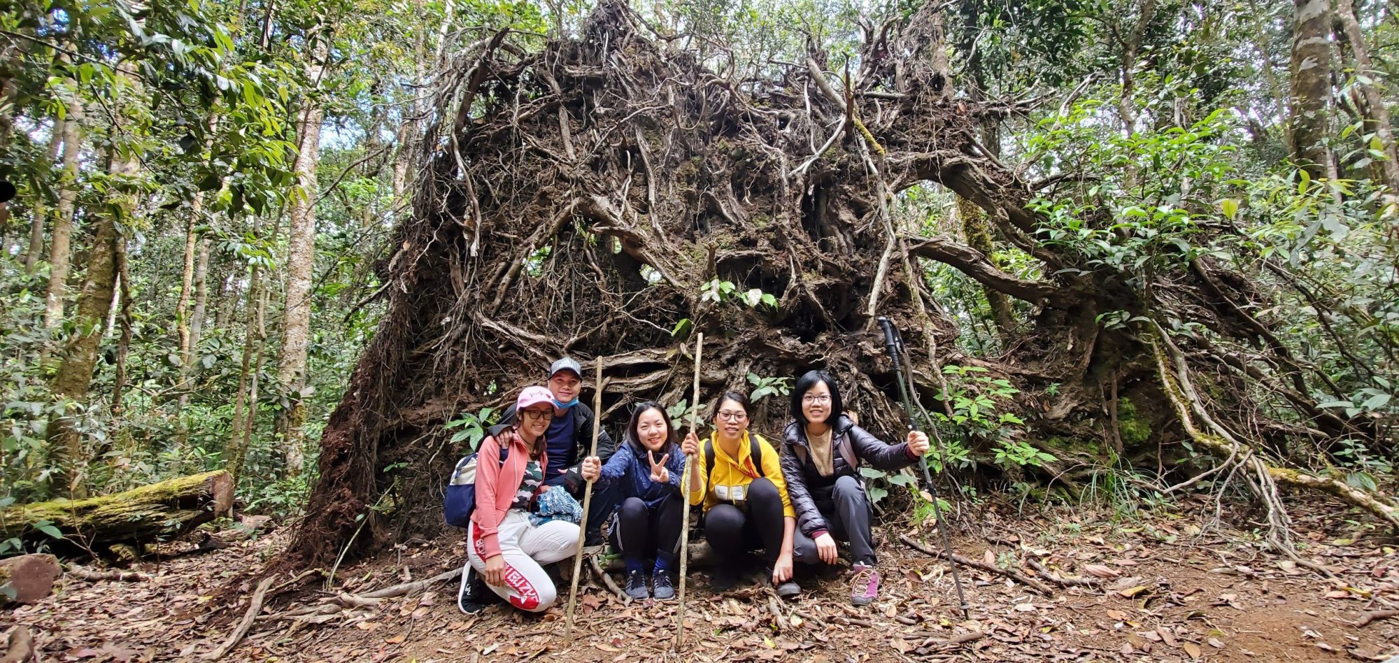 Rừng nguyên sinh Bidoup có vô vàn những điều “bí ẩn” và huyền bí 