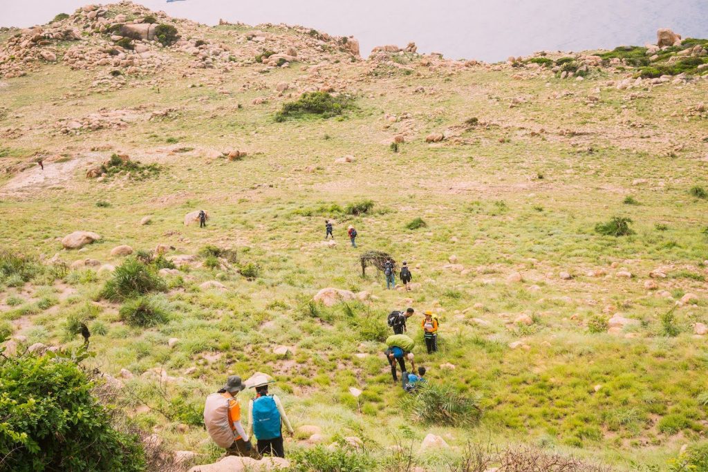 Đường đi của các hikers tương đối đơn giản hơn trekkers hikking