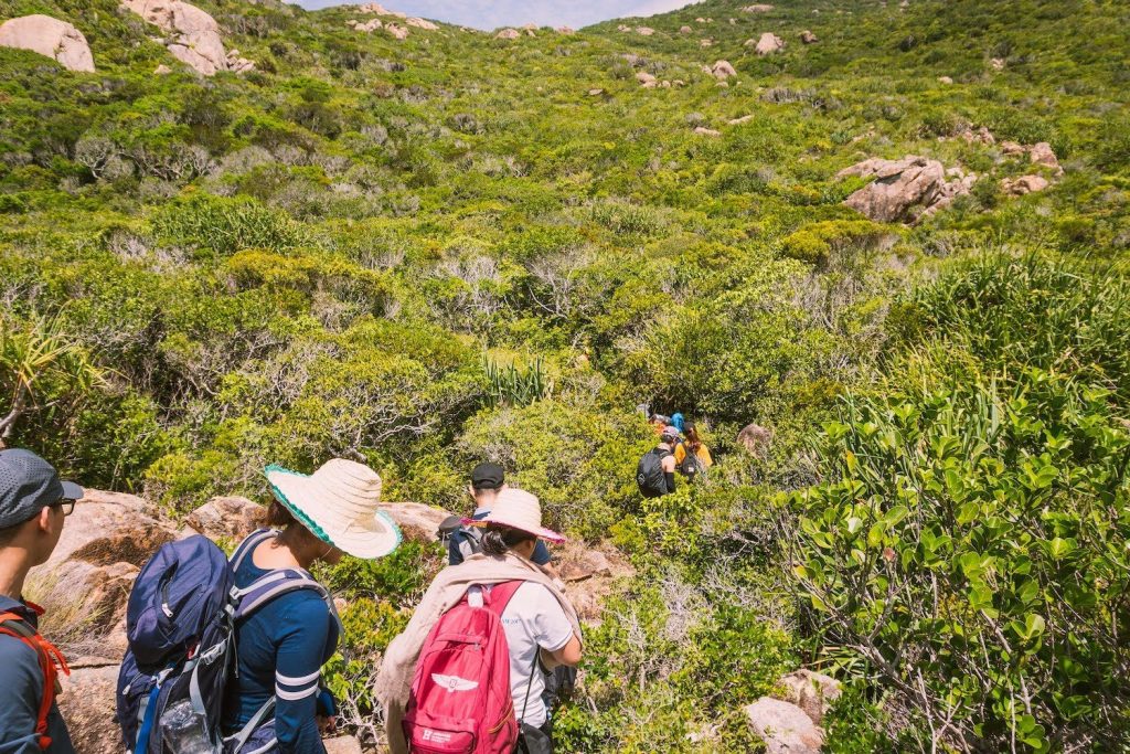 Nature Walking dành cho những người mới