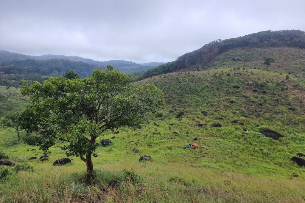 Vẻ đẹp mê đắm lòng người của Núi Chúa trekking miền nam