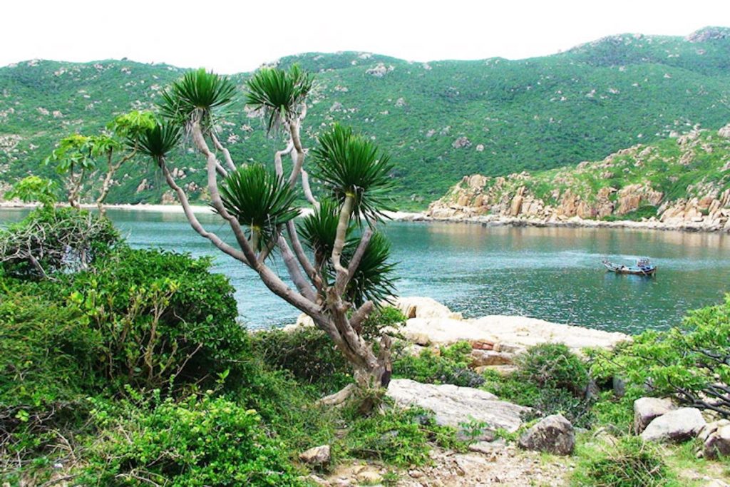 Núi Chúa - một trong những tour luôn được yêu thích của các bạn trẻ Nguồn: Gody.vn