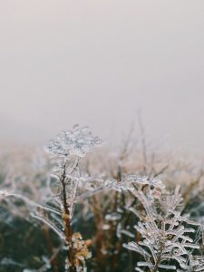 Khí hậu lạnh lẽo của Lảo Thẩn