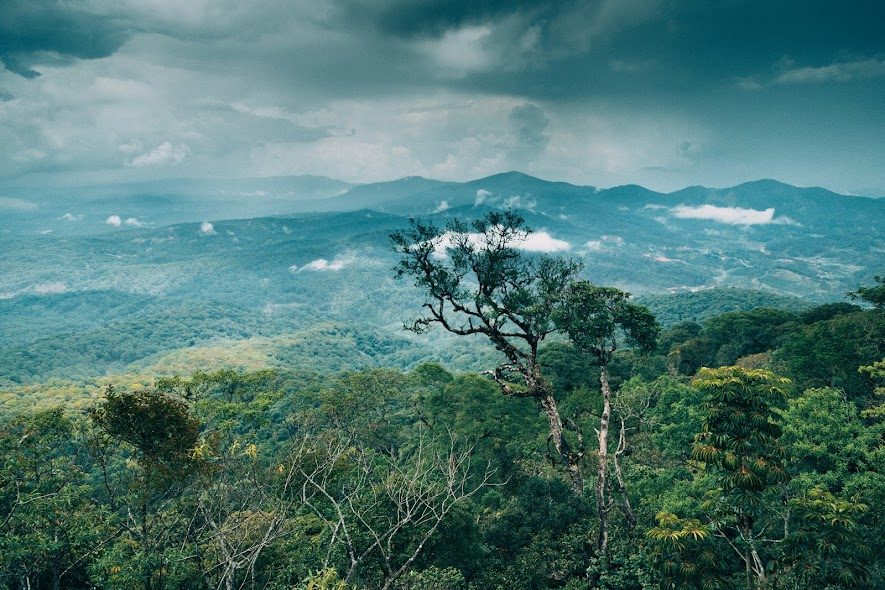 Khung cảnh nên thơ trên đỉnh núi Bidoup