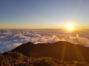 Biển-mây-dày-đặc-dưới-ánh-nắng-vàng