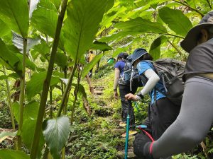 Đường đá cổ Pavi tại Nhìu Cồ San