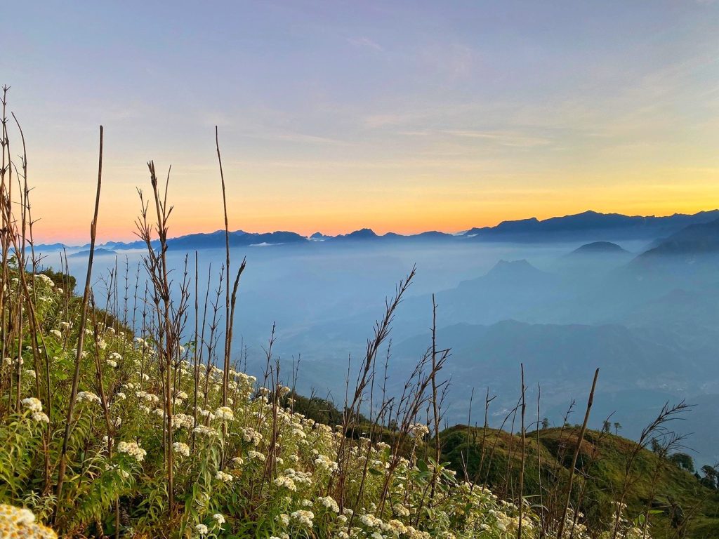 Trekking Lảo Thẩn ngắm hoa cỏ khoe sắc