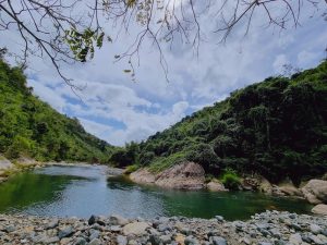 Rừng-nguyên-sinh-xanh-ngắt-hai-bên-bờ-suối