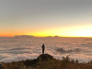 Đại-dương-mây-mênh-mông-trong-ánh-sáng-vàng-dịu
