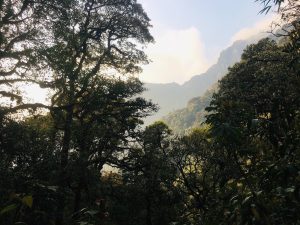 Rừng-rậm-trên-núi-Putaleng