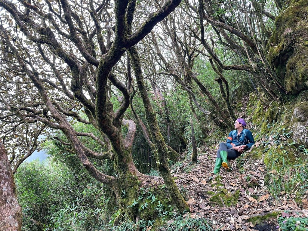 Đường-trekking-Putaleng-có-Tổ-Ong-đồng-hành