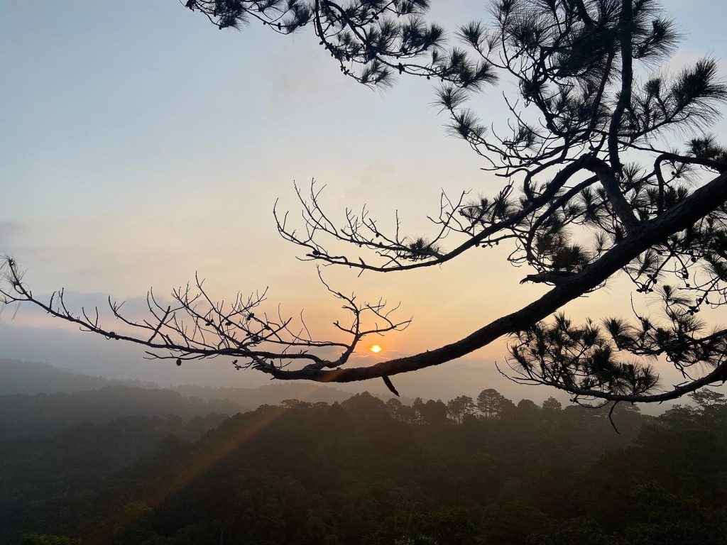 Bình minh Tà Năng Phan Dũng