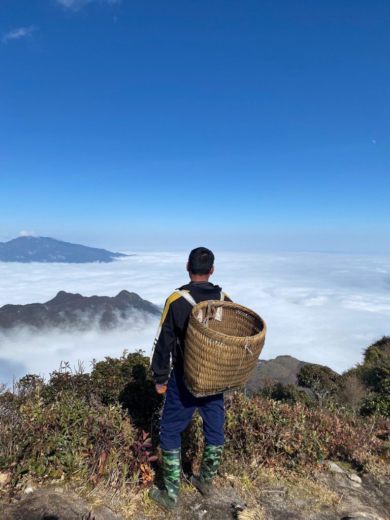 Trekking Ky Quan San