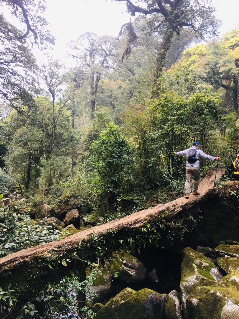Cây cầu gỗ bắc ngang suối khi trekking Putaleng