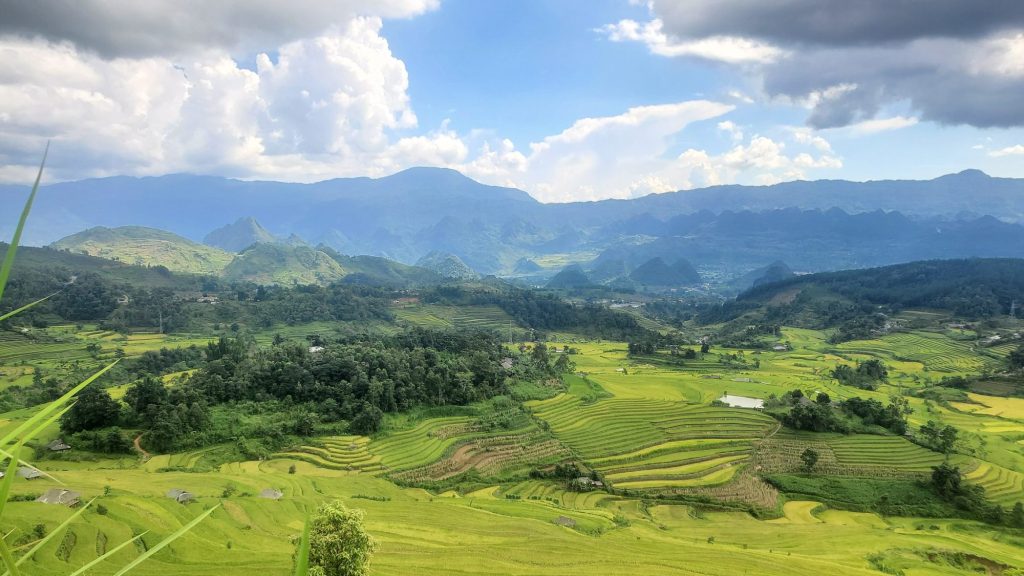 Ruộng bậc thang ở Tả Liên Sơn
