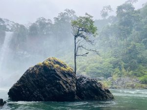 Một-mỏm-đá-khổng-lồ-giữa-dòng-thác-K50