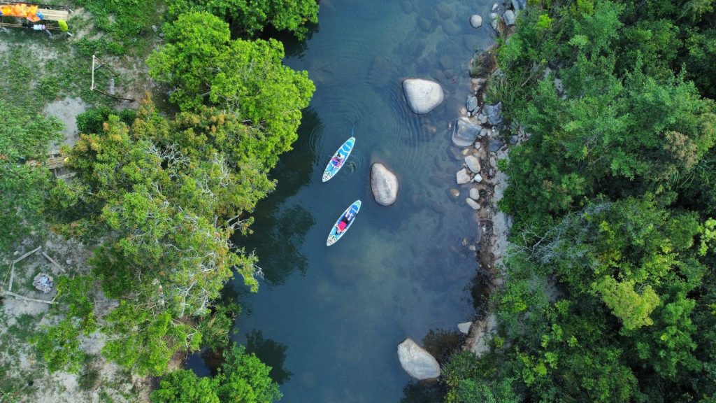 Chèo SUP - Thả hồn phiêu lãng giữa rừng