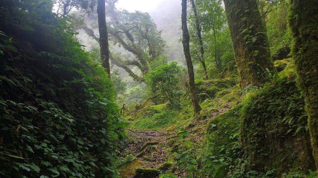 Trekking Tả Liên Sơn ma mị cổ tích