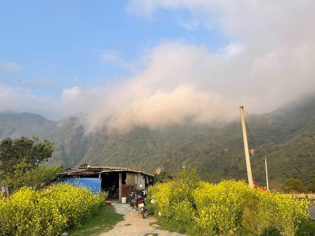 Trekking ngắm hoa cải Lảo Thẩn