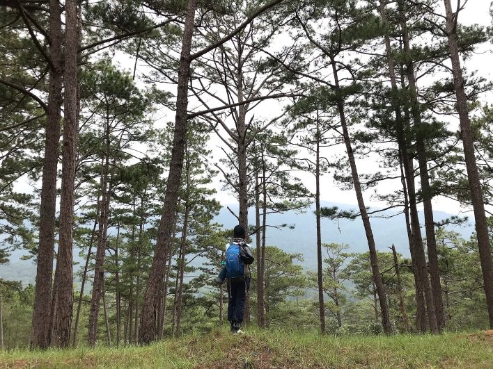 Một đoạn đường hiking đến ngọn thác