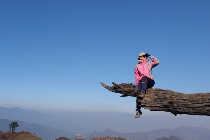 Cây khô sống ảo. Ảnh: Ngô Đức Kế