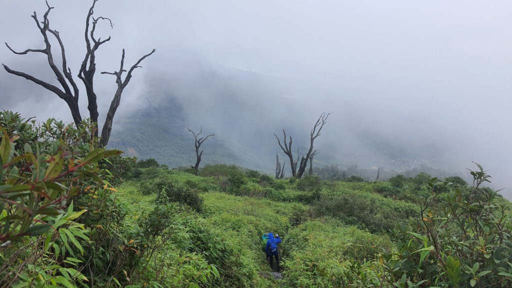 Con đường trekking Nhìu Cồ San mù sương