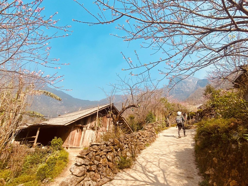 Đường làng thơ mộng
