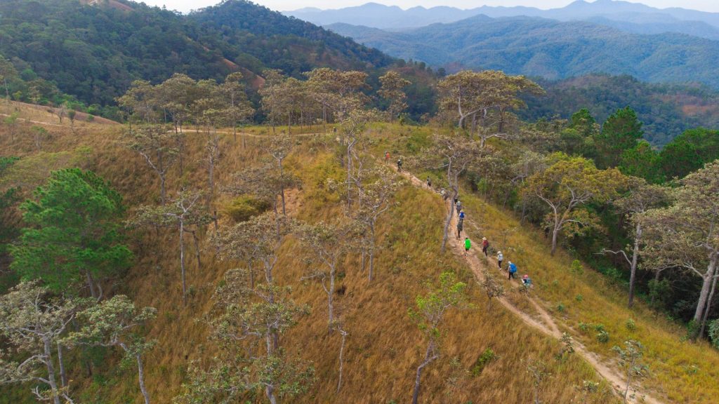Lên kế hoạch hiking: xem xét vẻ đẹp Tà Năng vào mùa khô
