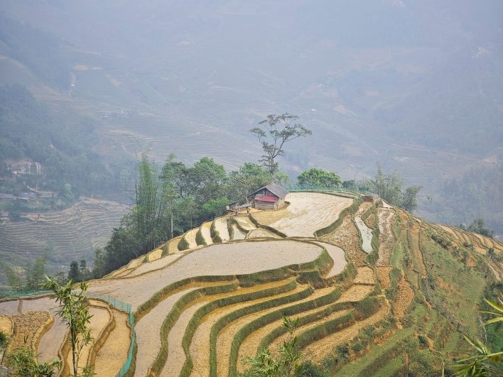 Ruộng bậc thang mùa nước đổ