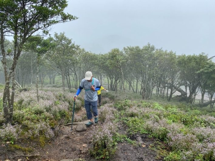 Một đoạn trong cung trekking Bạch Mộc Lương Tử