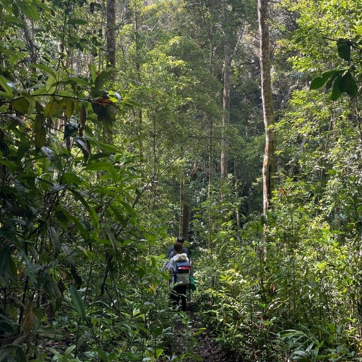 Tour Bidoup Núi Bà của Tổ Ong Adventure
