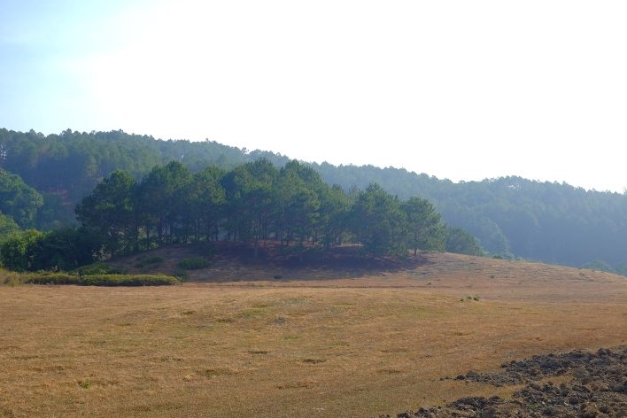 Một thung lũng thơ mộng dọc đường hiking Tà Năng - Phan Dũng