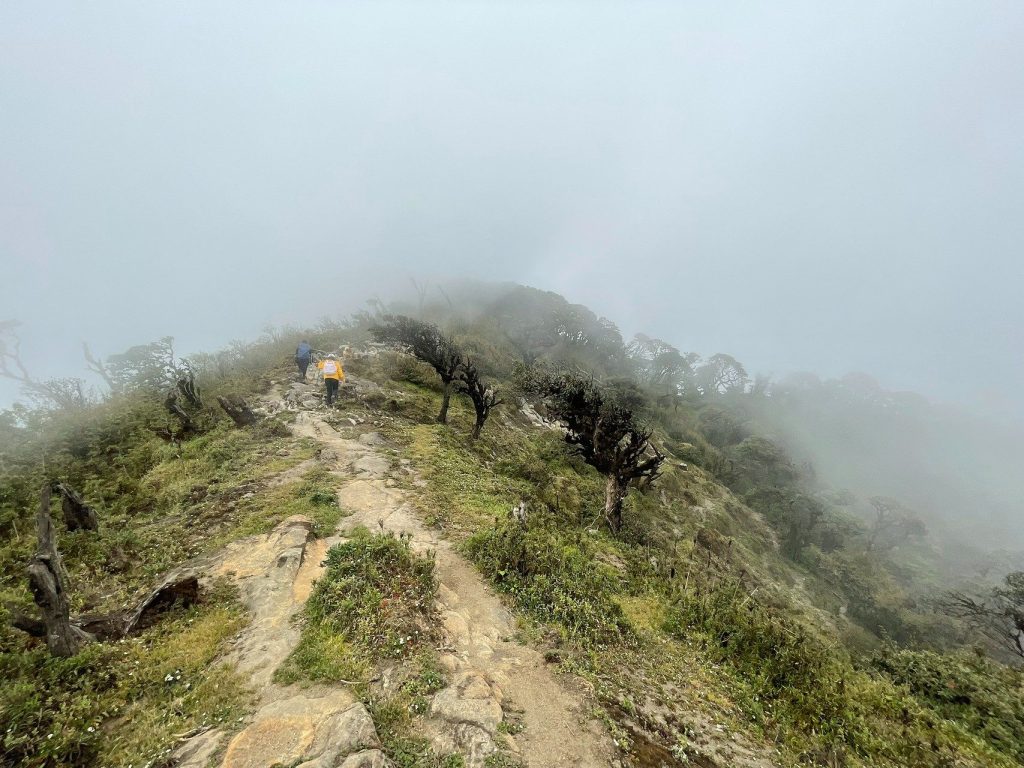 Con đường trekking ngày mây giăng kín