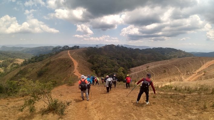 Cỏ cháy hoang dại trên cung hiking Tà Năng - Phan Dũng
