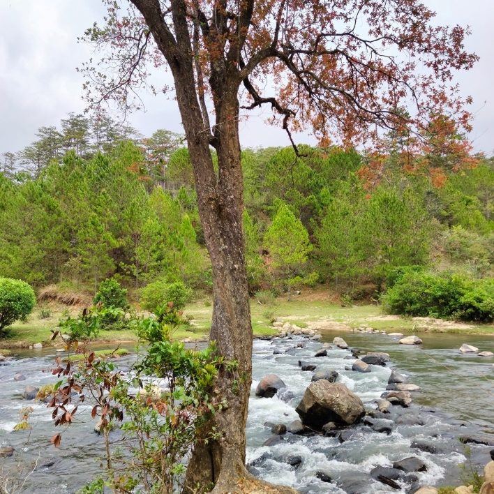 Một khung cảnh đẹp trong tour Bidoup Núi Bà