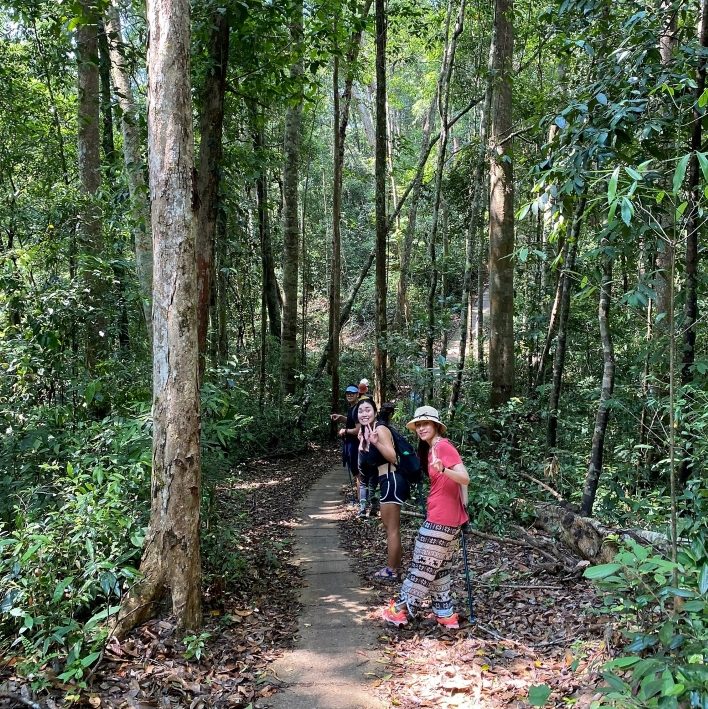 Hiking qua những khu rừng già cổ kính