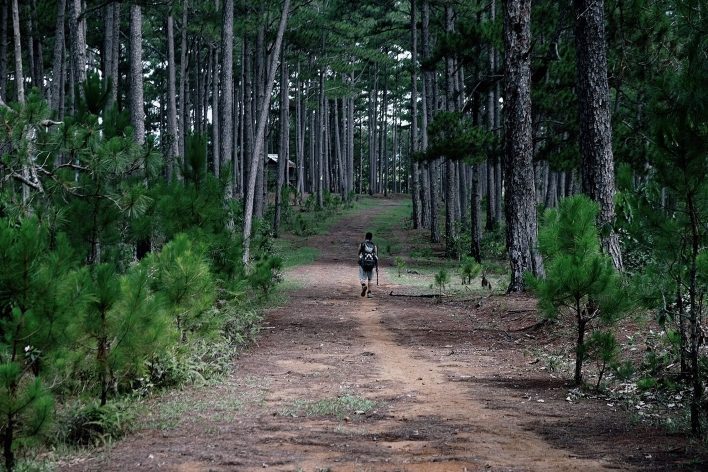 Cung hiking Bidoup Núi Bà