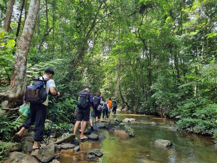 Những con suối thơ mộng trên đường hiking